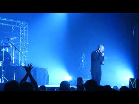 Видео: Shortparis - Любовь моя будет тут (live) [Санкт-Петербург, A2 Green Concert, 02.04.2022]