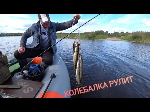 Видео: Пенсионер с колебалкой обловил меня с воблерами  !!!