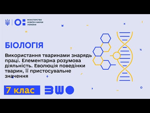 Видео: 7 клас. Біологія. Використання тваринами знарядь праці. Елементарна розумова діяльність