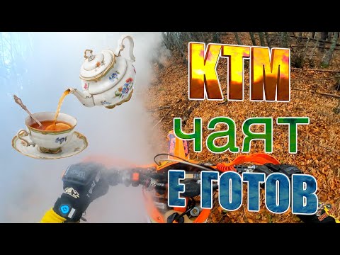 Видео: Чай и КТМ | Истинска ендуро разходка в гората до прегряване на съединителя