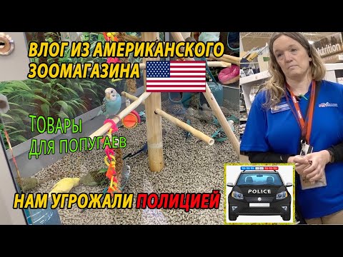 Видео: ВЛОГ ИЗ АМЕРИКАНСКОГО ЗООМАГАЗИНА | ПОПУГАЕВ НЕ КОРМЯТ И НЕ ДАЮТ ИМ ВОДУ | НАМ ПРИГРОЗИЛИ ПОЛИЦИЕЙ