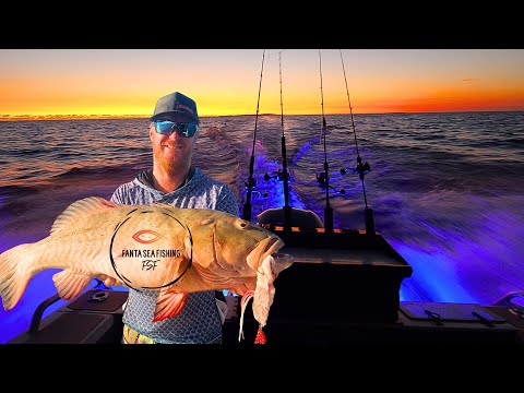 Видео: Рыбалка у побережья Пилбары.