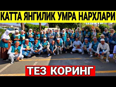 Видео: КОТТА ЯНГИЛИК НОЯБРЬ ОЙИ УМРА НАРХЛАРИ 2025 ЙИЛ 