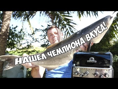 Видео: Тестируем необычных рыб 2!