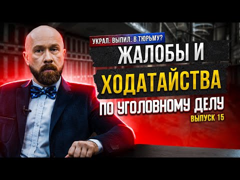 Видео: Жалобы и ходатайства по уголовному делу