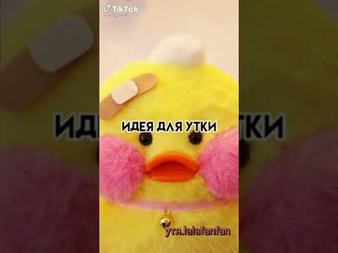 Видео: Ути лалафанфан из тт и лайка💌💟