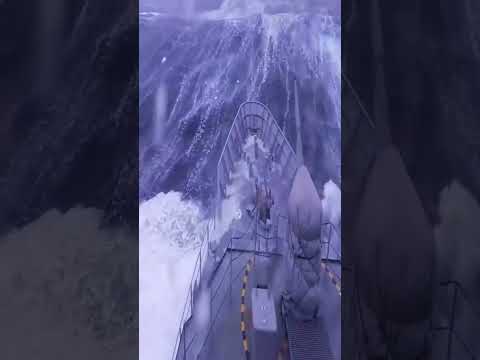 Видео: Сила природы велика...