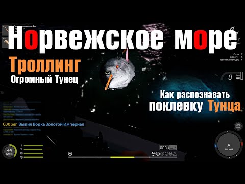 Видео: Огромный Тунец • Как распознать поклёвку Тунца • Русская Рыбалка 4 • Норвежское Море