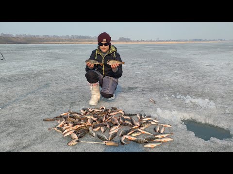 Видео: НАДЕРБАНИЛИ С СЫНОМ ОКУНЯ! Рыбалка озеро Ик, Омская область (часть 2)