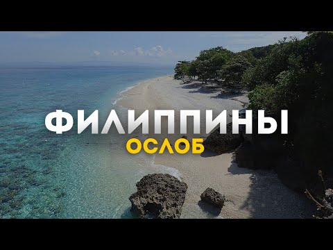 Видео: Ослоб, Филиппины. Акулы и водопады