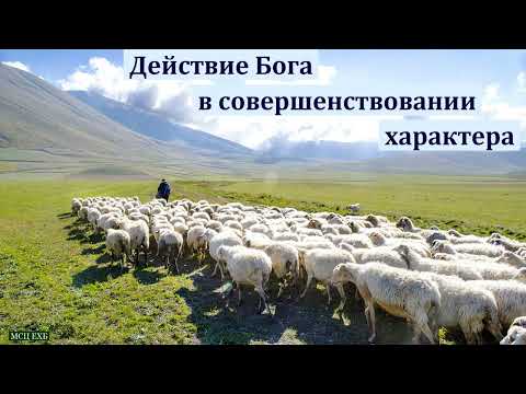 Видео: "Действие Бога в совершенствовании характера". А. Г. Валл. МСЦ ЕХБ