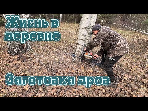 Видео: Жизнь в деревне. Заготовка дров. Грузим и везем на мотоблоке