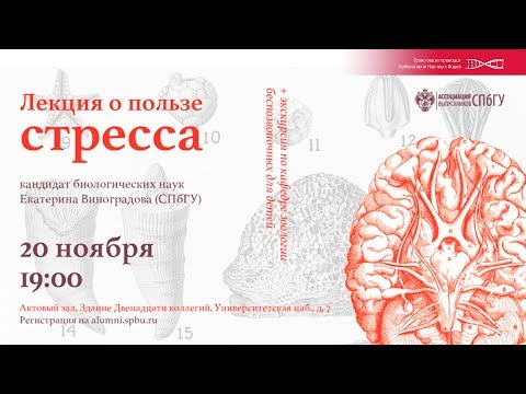 Видео: О пользе стресса. Екатерина Виноградова.
