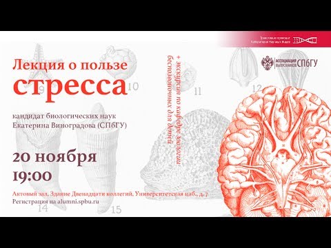 Видео: О пользе стресса. Екатерина Виноградова.