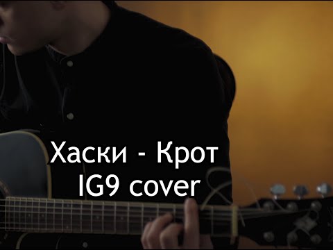 Видео: Хаски - Крот (IG9 guitar cover)