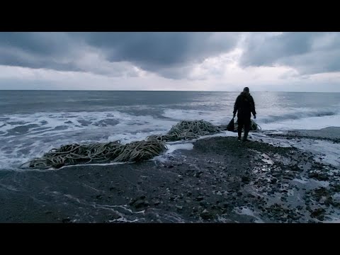 Видео: Море в ноябре. Мидии, гребешки и копченка.., вкусный ужин.