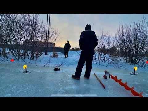 Видео: ПРИШЕЛ ХОЗЯИН РЕКИ! БЕСПРЕДЕЛ НА РЫБАЛКЕ! Я В ШОКЕ! Расставил жерлицы и пожалел.