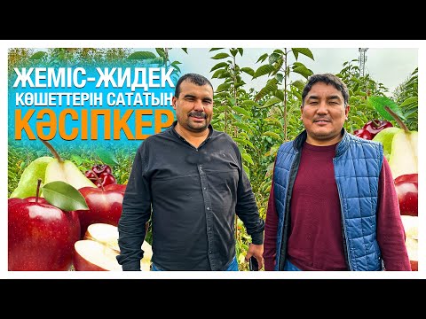 Видео: Көшеттер бизнесі | Қанша ақша табуға болады? | Бизнес жүргізудің қыр сыры