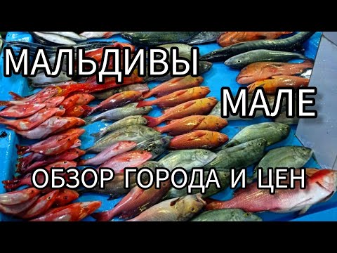 Видео: 3. Мальдивы. Столица Мале обзор города и цен.