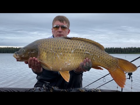 Видео: Ловля карпа с прикормочным корабликом. Кубок капитанов. Коваши.