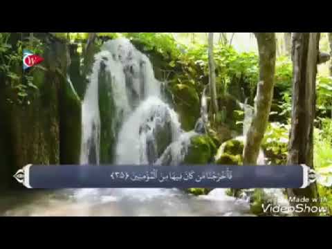 Видео: Savolu javob ~34~ Ҳоҷи Мирзо