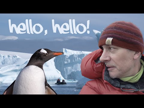 Видео: НЕЗАБЫВАЕМЫЙ опыт фотосъемки в Антарктиде