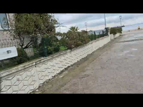 Видео: 12 ноября 2025  К пляжу