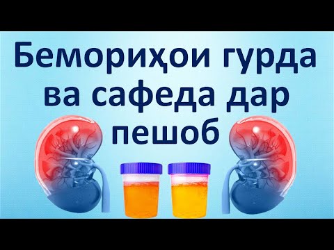 Видео: Гурда. Беморихои гурда ва сафеда дар пешоб.