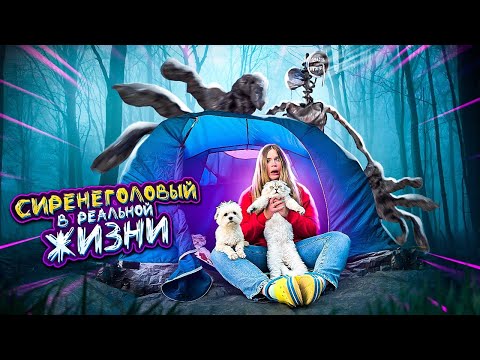 Видео: СИРЕНОГОЛОВЫЙ В РЕАЛЬНОЙ ЖИЗНИ В НАШЕЙ ТРЁХКОМНАТНОЙ ПАЛАТКЕ С КОТАМИ И СОБАКОЙ