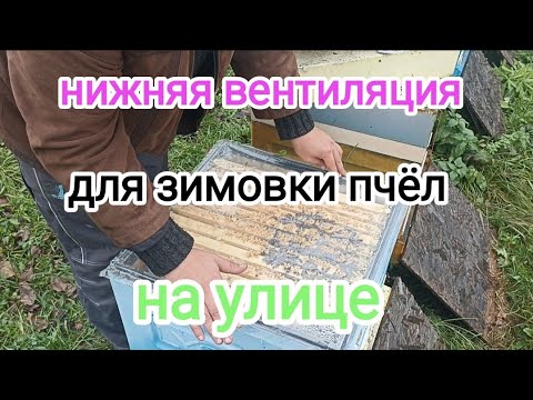 Видео: Зимовка пчёл на воле. Нижняя вентиляция в ульях ППС и ППУ. ПЧЕЛОВОДСТВО!