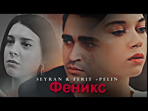 Видео: ◄ Феникс ►