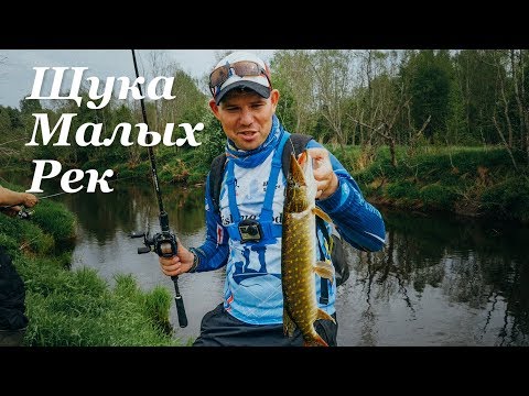 Видео: БЕШЕНЫЙ клев щуки! Преимущества кастинговой снасти - Fishing Today.