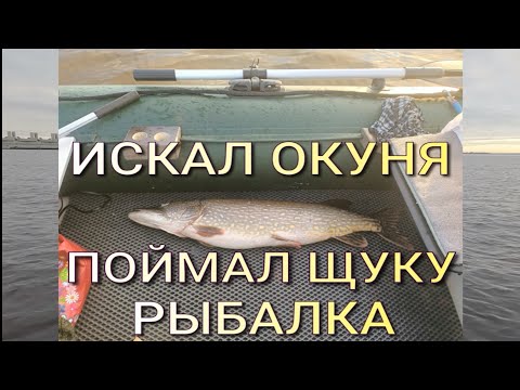 Видео: Щуки на окуневый воблер. Окунь не клюёт. Почему?
