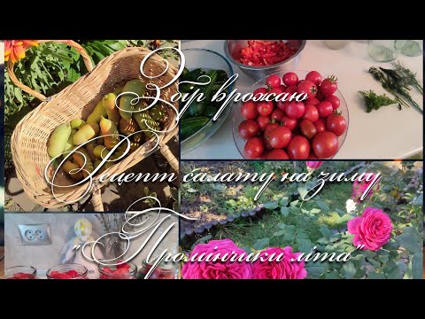 Видео: Збір врожаю.  Рецепт салату на зиму "Промінчики літа"
