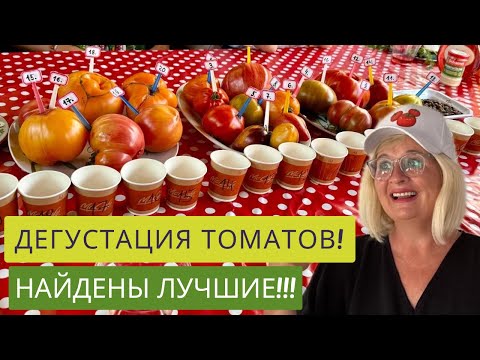 Видео: ТРИ ЛУЧШИХ СОРТА ИЗ 20!!!🎉❤️🍅ТОМАТ-ШОУ НА ДАЧЕ!👩‍🦰👨🏻‍🦳👩🏻‍🦱🔥ПОБЕДИТЕЛИ ВЫБРАНЫ!🍅🏆🥇