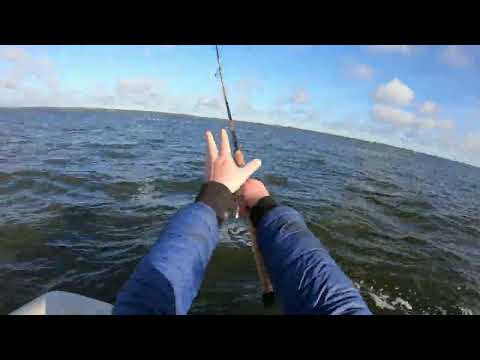 Видео: Чудское Озеро . Окунь и 4 рыбака.