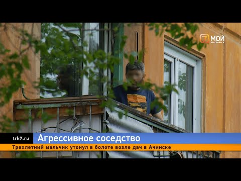 Видео: Странный мужчина держит в страхе собачников на в районе Предмостной площади