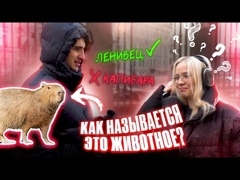Видео: 5 ГЛУПЫХ ВОПРОСОВ ПО БИОЛОГИИ НА УЛИЦЕ | ОГЭ по биологии | Федор Агеев