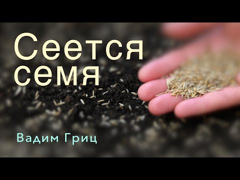 Видео: LED | Вадим Гриц | Проповедь: Сеется семя