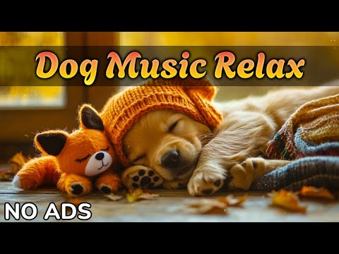 Видео: Музыка, которая усыпляет собак 🐶 | Успокаивающие звуки для щенков 🎶  Без рекламы