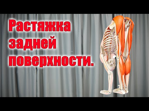 Видео: Упражнение на Растяжку задней поверхности бедра.