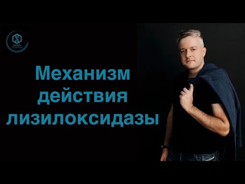 Видео: Механизм действия лизилоксидазы
