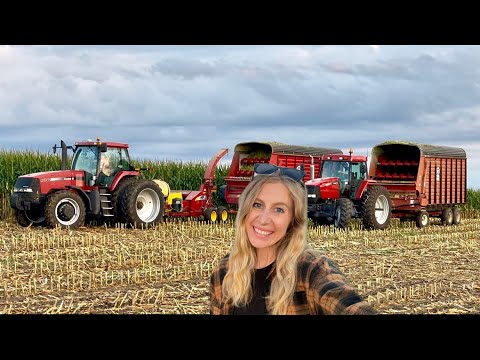 Видео: На ферме в Миннесоте производят кукурузный силос!