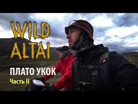Видео: Алтай. Велопутешествие на Плато Укок. Часть 2