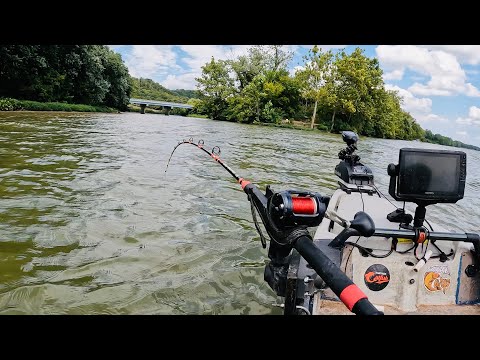 Видео: Поиски большого сома на реке Огайо