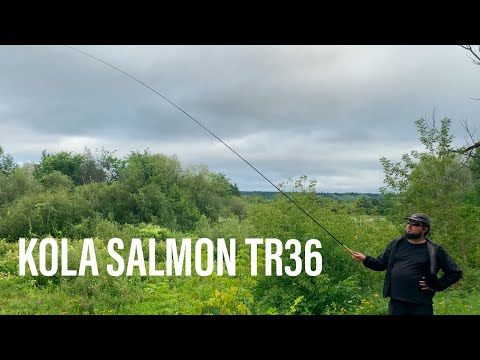 Видео: ТЕНКАРА x KOLA SALMON TR36 х КЕБАРИ В МИКРОРУЧЬЕ #103