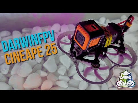 Видео: DarwinFPV CineApe 25 | FPV малюк для тренувань та відеозйомки.