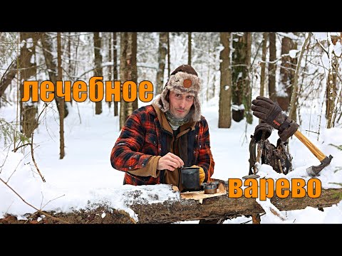Видео: Бушкрафт I Лесное лекарство I Балхам