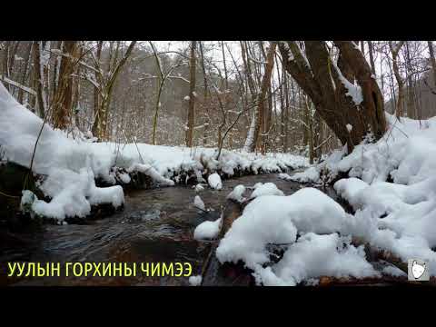 Видео: Уулын горхины хоржигнох чимээ