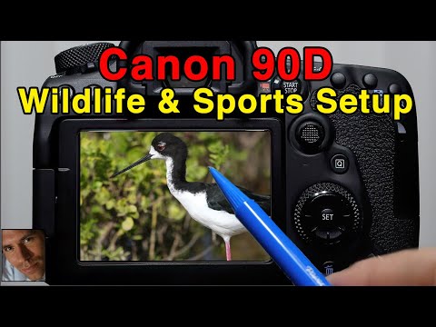 Видео: Учебное пособие по Canon 90D | Настройка съёмки дикой природы и спорта